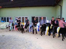 2019_ausstellung polling_868